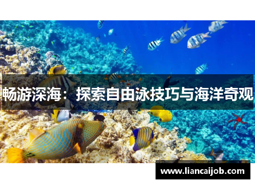 畅游深海：探索自由泳技巧与海洋奇观