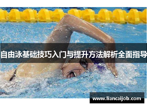 自由泳基础技巧入门与提升方法解析全面指导