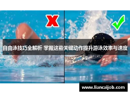自由泳技巧全解析 掌握这些关键动作提升游泳效率与速度